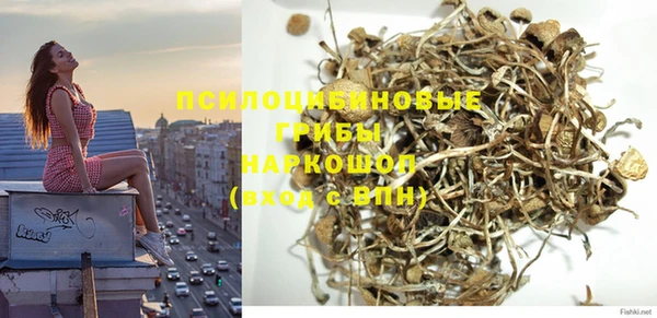 тгк Болохово