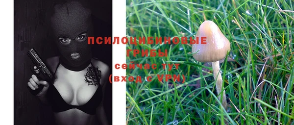 метадон Болотное