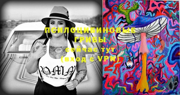 метадон Болотное