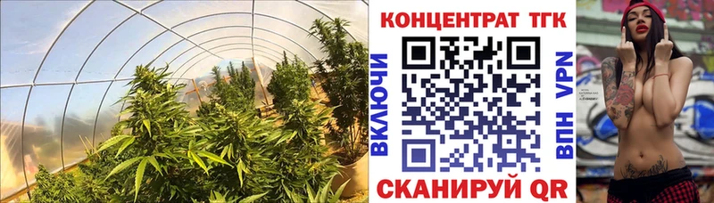 Купить где  Андреаполь  Дистиллят ТГК жижа 