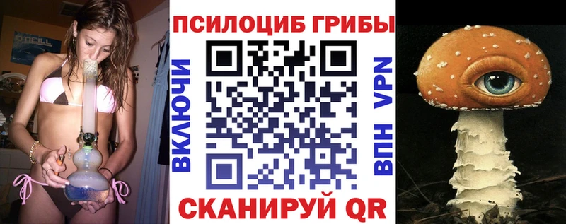 Галлюциногенные грибы ЛСД  Купить где  Андреаполь 